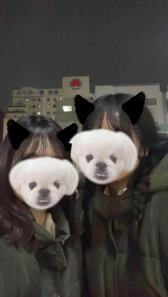 Girls Bar LiLiTH日記883140