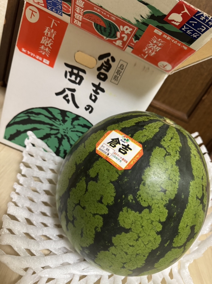 🍉????(「🍉?ω?)?🍉