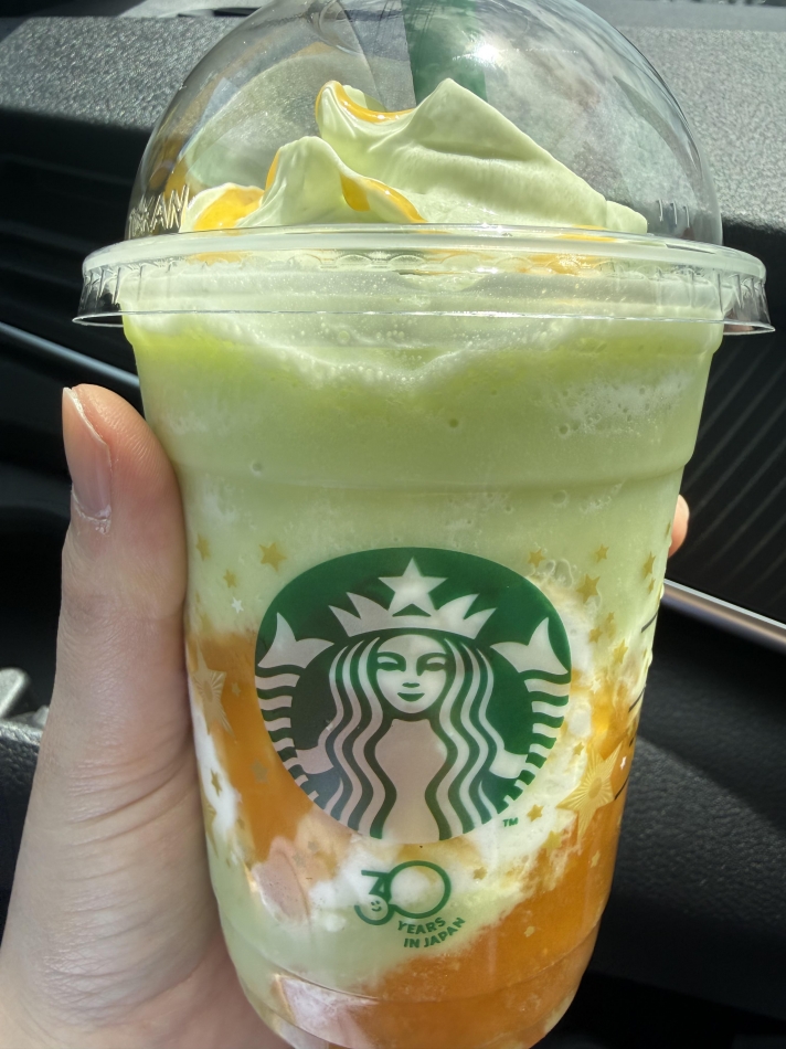 一条 葵
