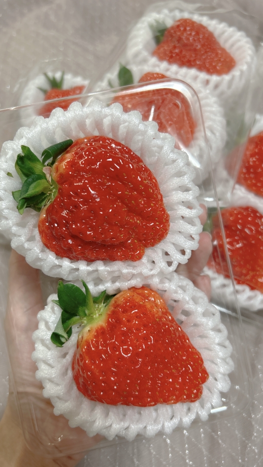 大好き😭︎♥️