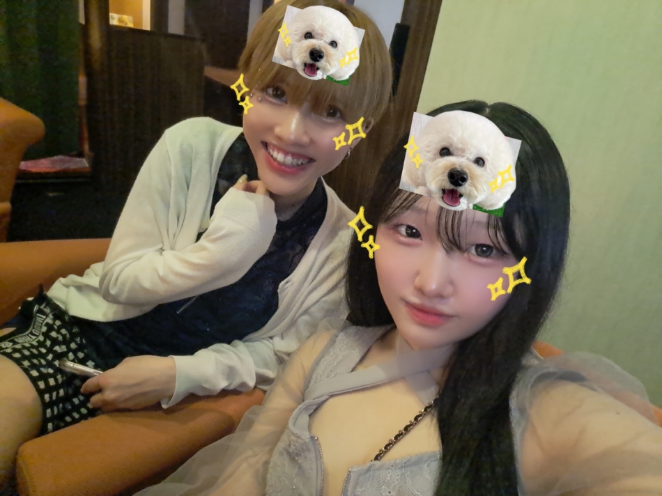 一条 葵