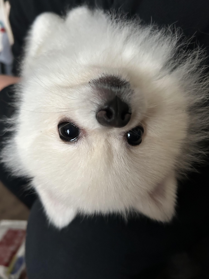 CLUB MONCHROM日記1274713