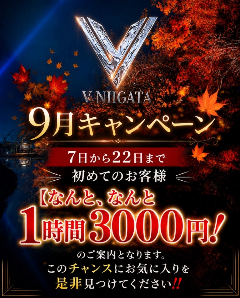 V-niigata-日記1764702