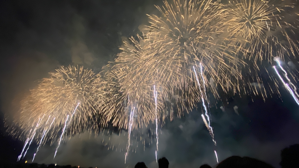 ダフネ日記1593162