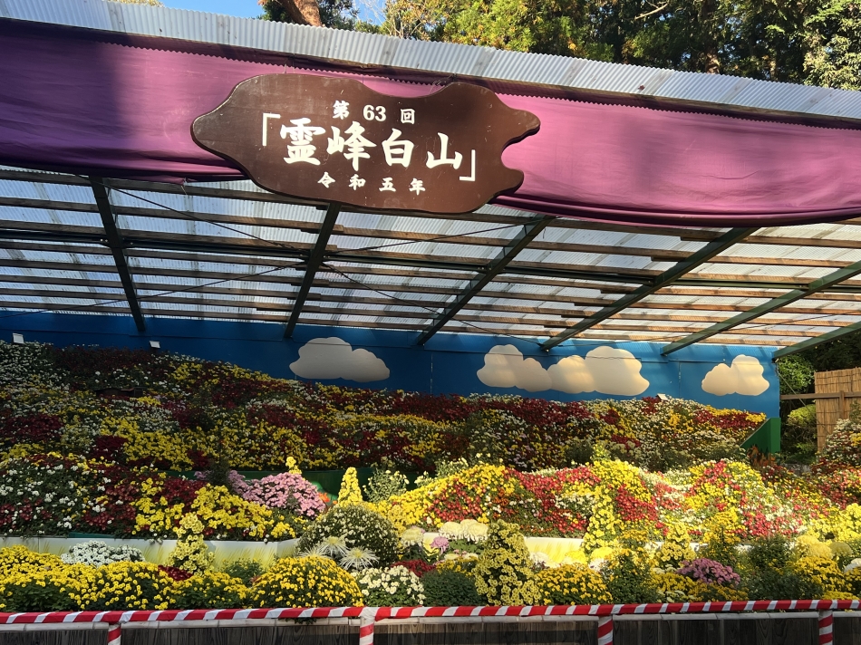 楽しかった1日🤍