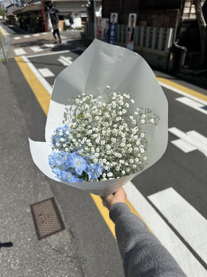 一条 葵