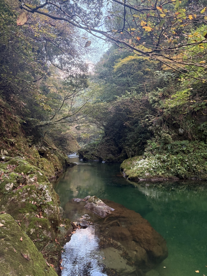 コンセプトカフェ　夢見る廃教会〜明日死ぬかもしれないぢゃん〜日記1534635
