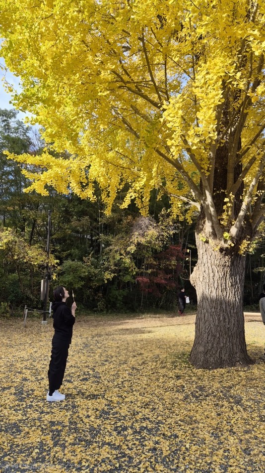 熟女キャバクラ Lips日記1536267