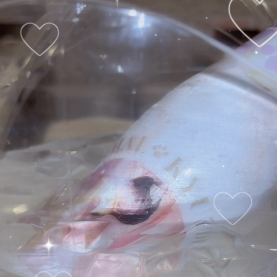 8月31日 07時15分のブログ