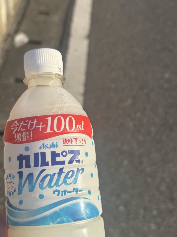 一条 葵