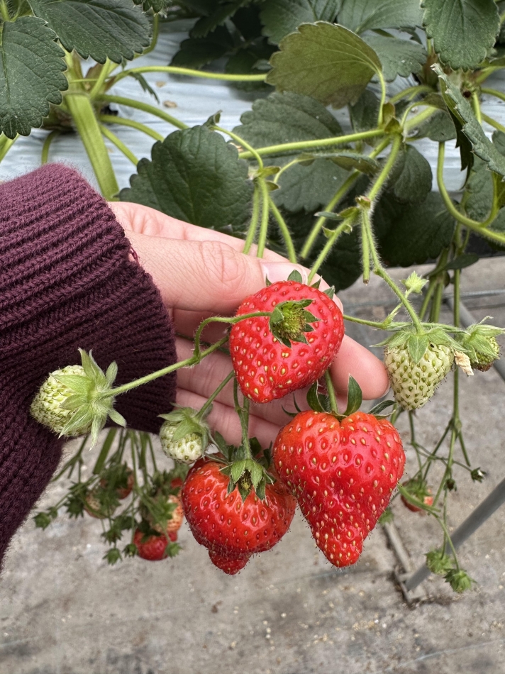 スナックBar Peace日記1609459