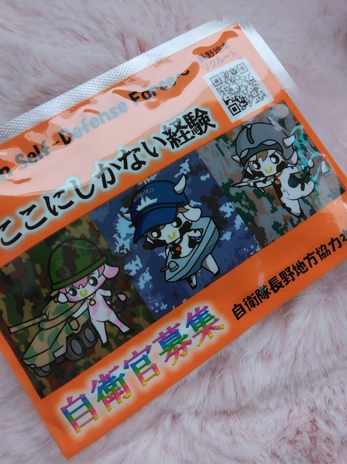 ホッカイロ～🇯🇵