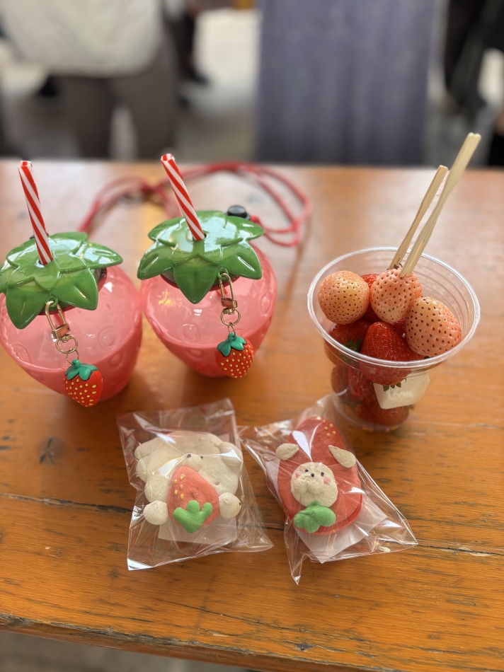 いちごʚ🍓ɞ
