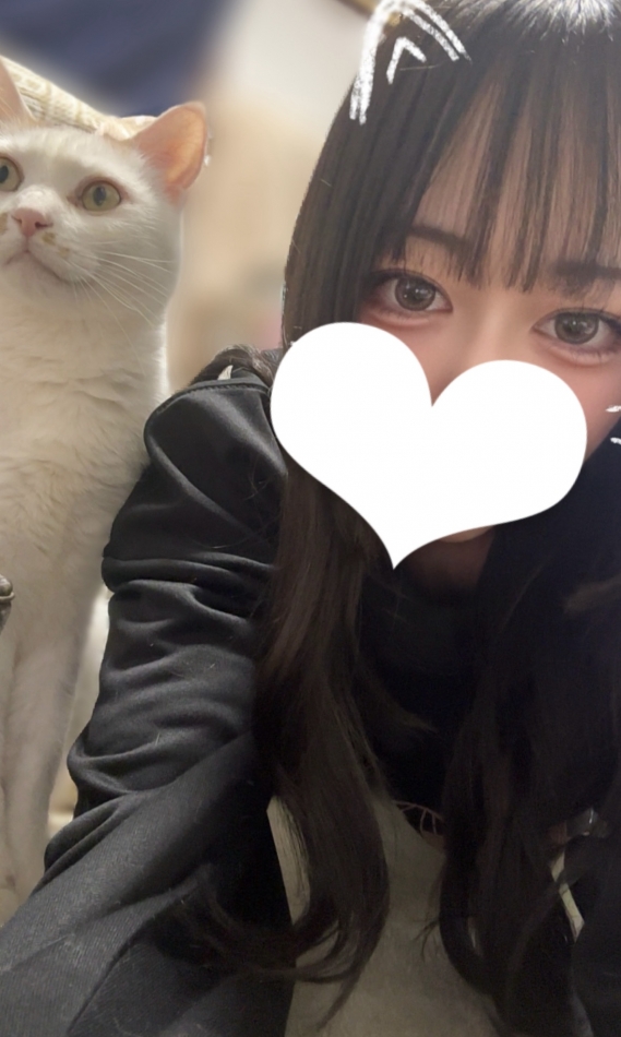 一条 葵