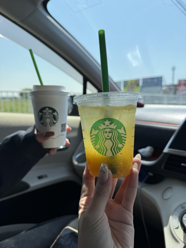 夏いつきそう？