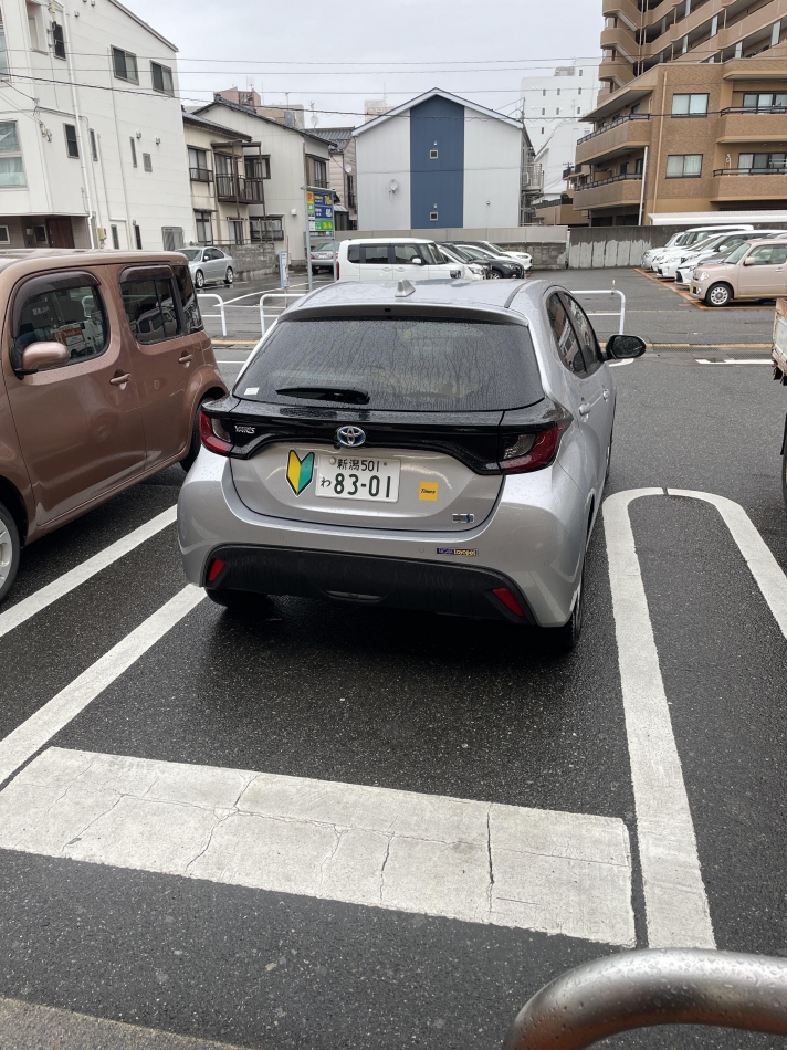 同居人駐車下手スンギ