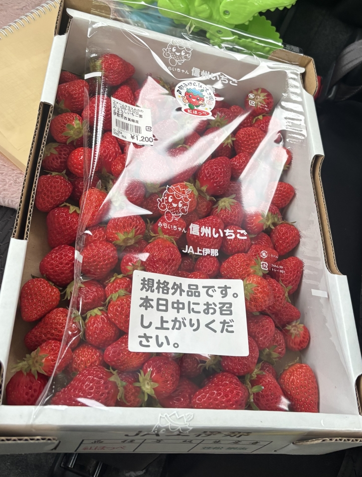 一条 葵