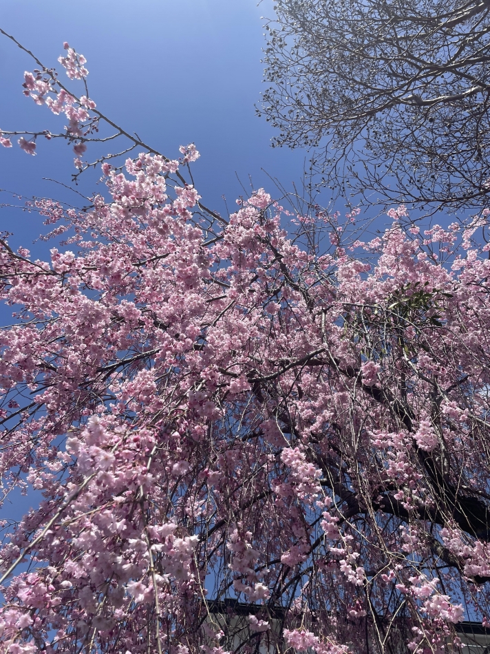 CLUB　Paladin日記1637265