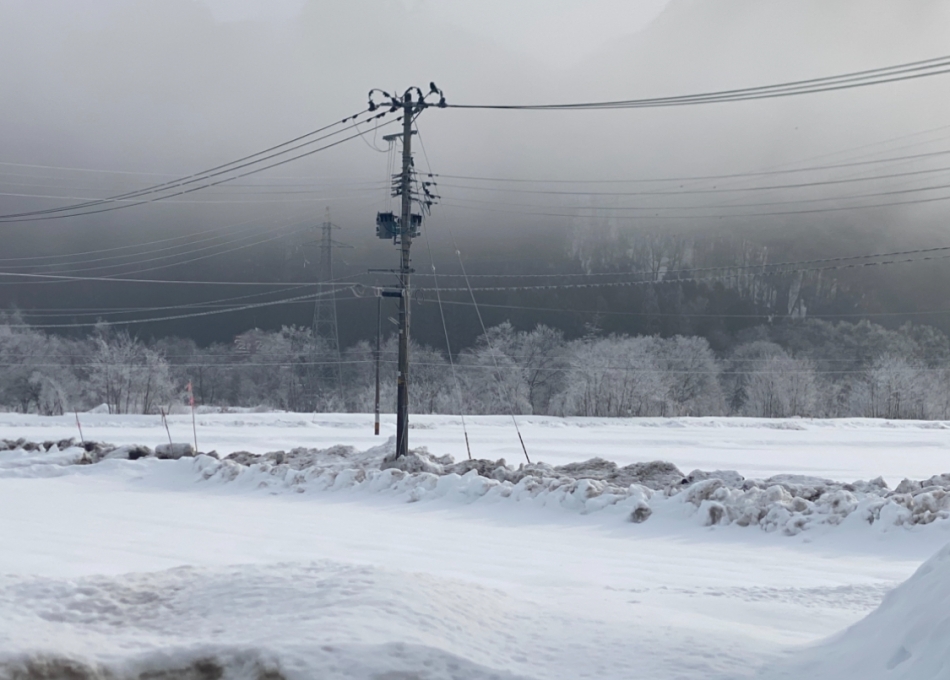 Club ILY日記1498411