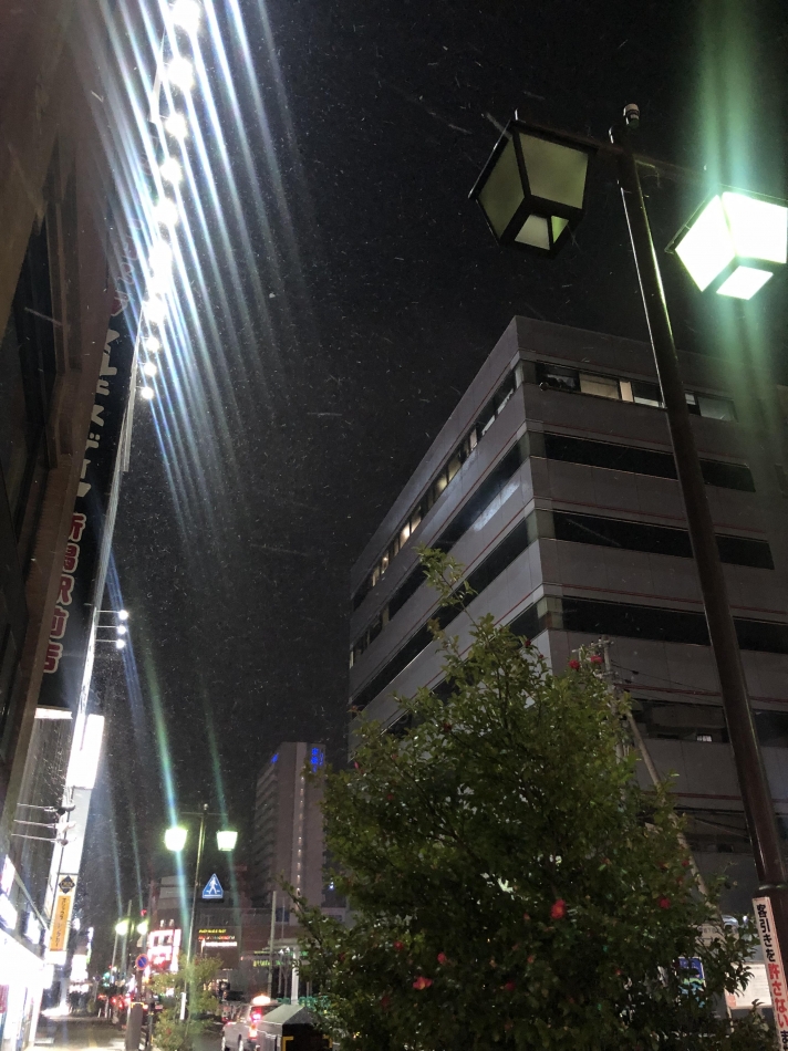 Diletto日記1576251