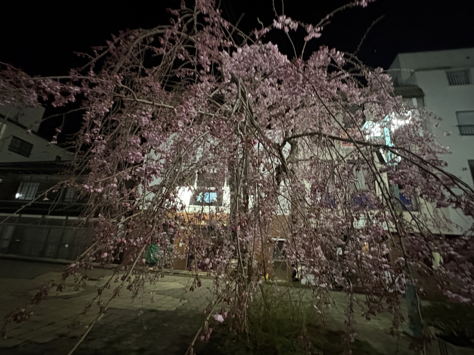 CLUB BOSS日記1635729