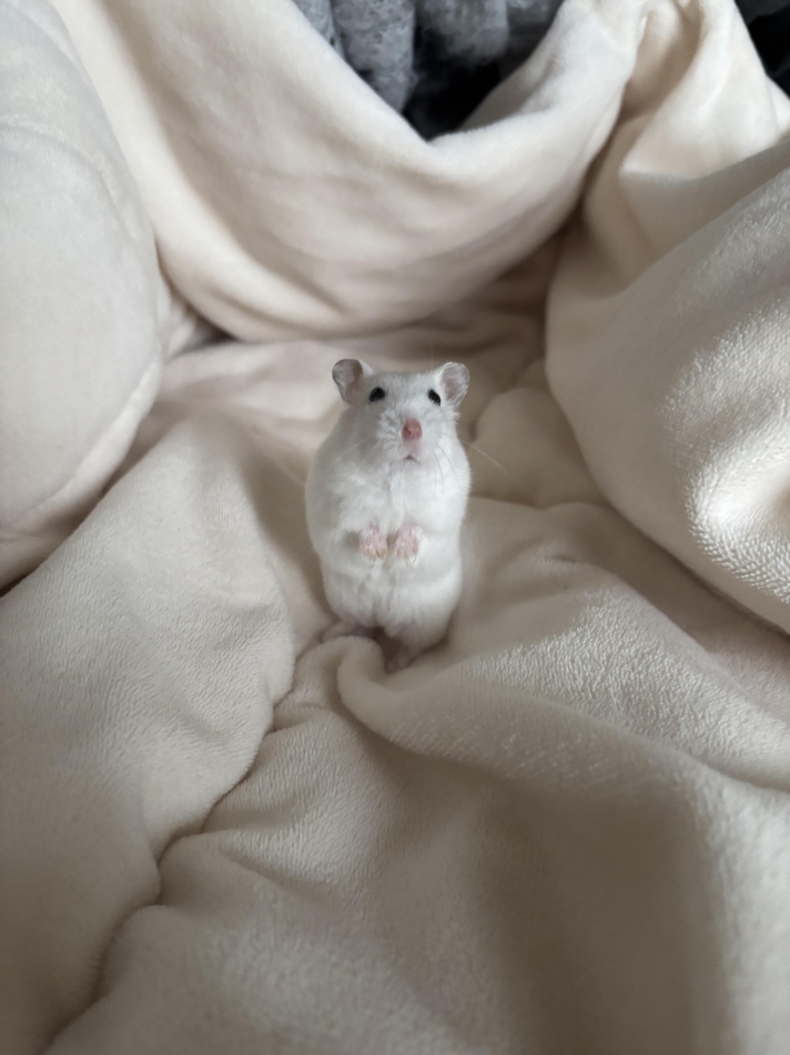 ゴールデンウィークだ！⚡️