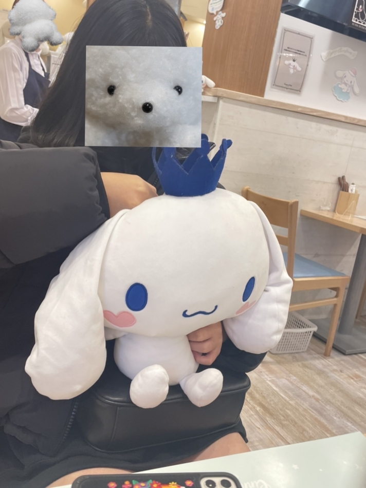 Veronica-ヴェロニカ-日記1554391