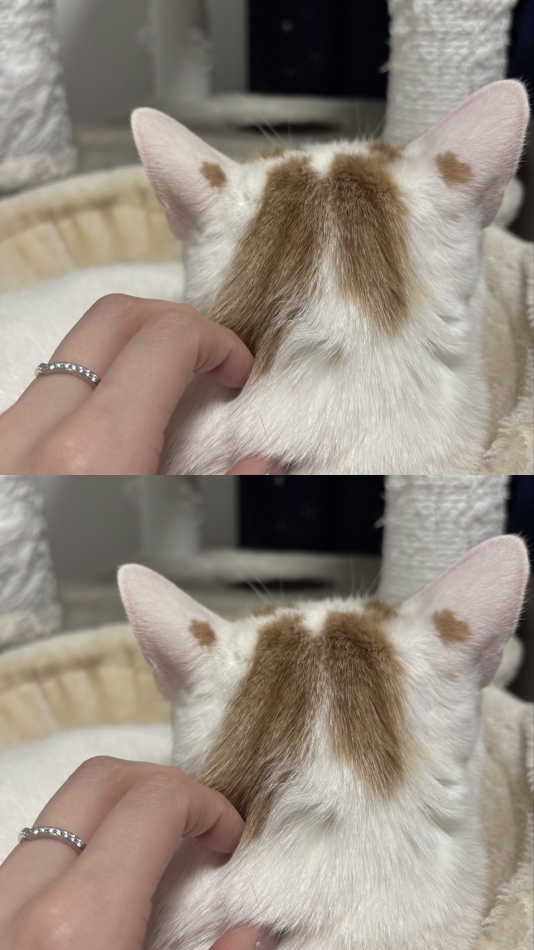 CLUB FOUR GARDEN日記1631151