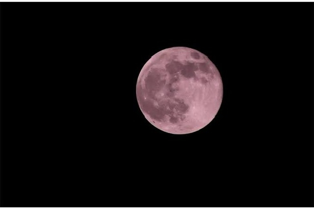 clubTiara日記877572