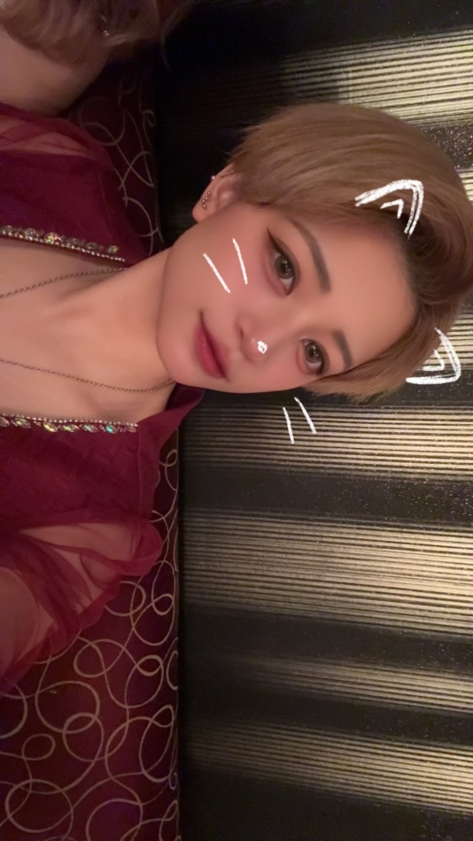 一条 葵