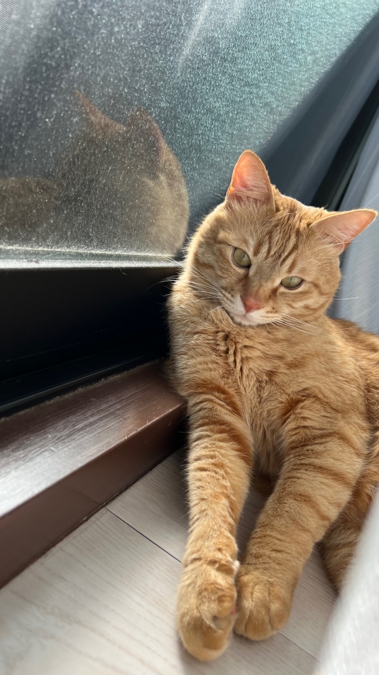 クラブ プラチナ 松本日記1608313