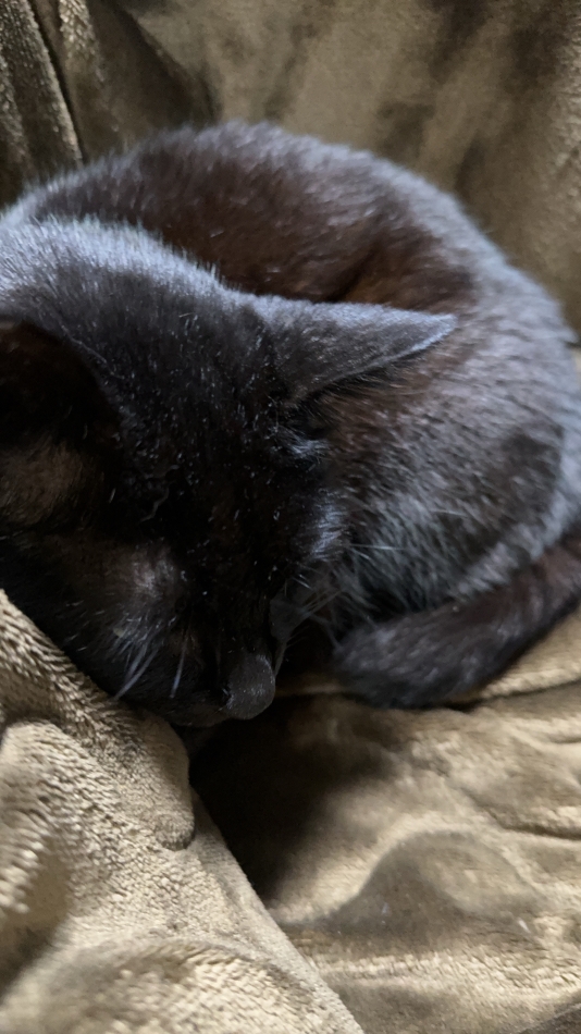 寒すぎて無理すぎんだなー。