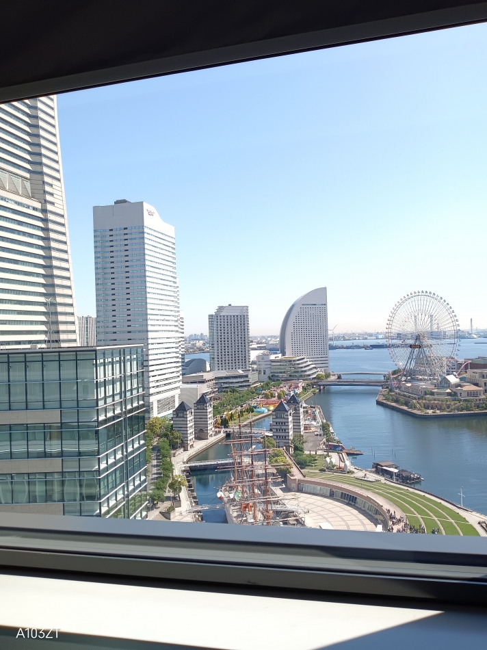 ママに腐った卵食べさせたい