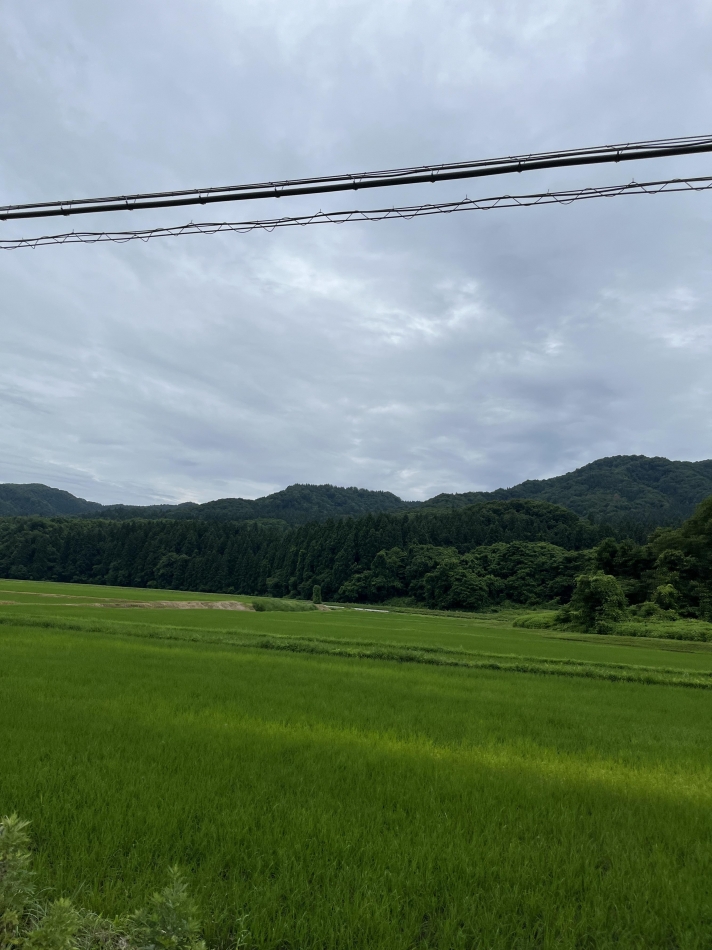 旅に出ました！