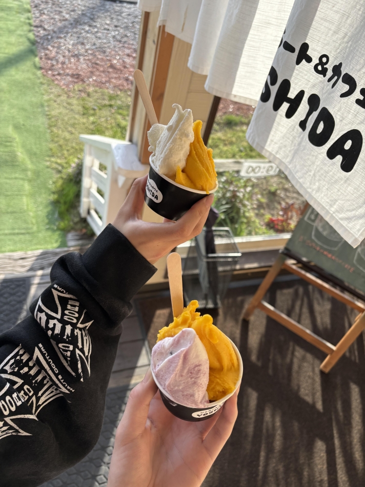 一条 葵