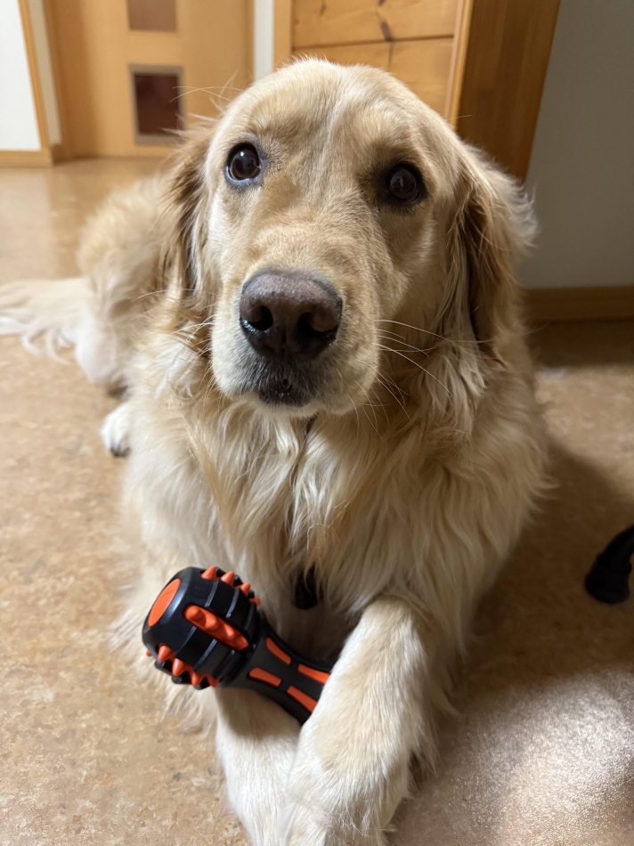 クラブ プラチナ 長野日記1630284