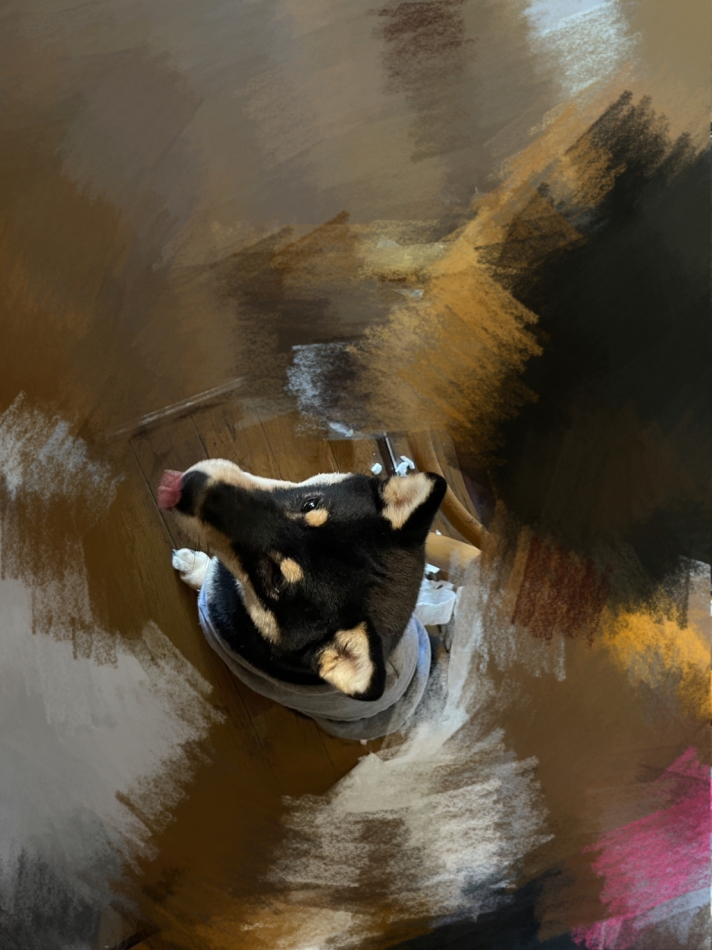 Girls Bar Philia日記1268485