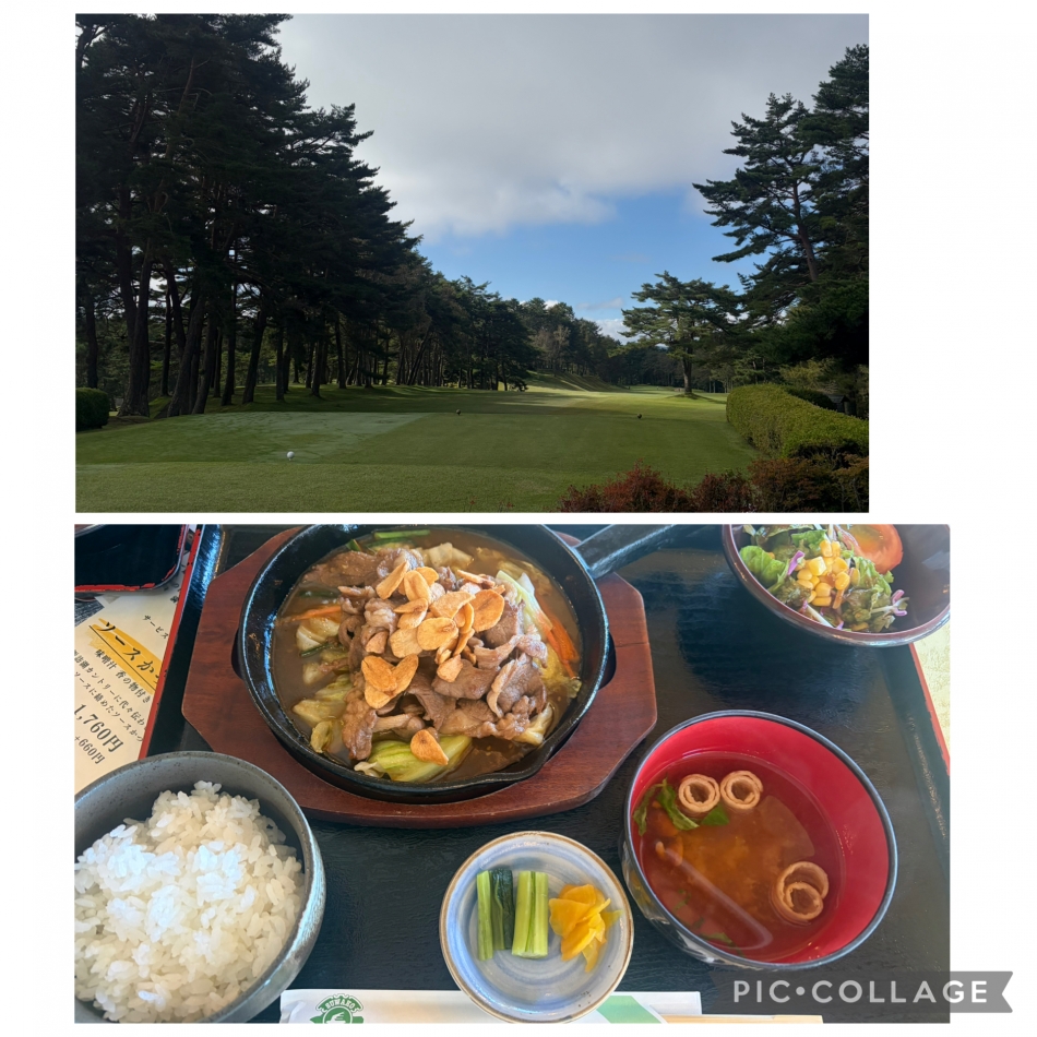 一条 葵
