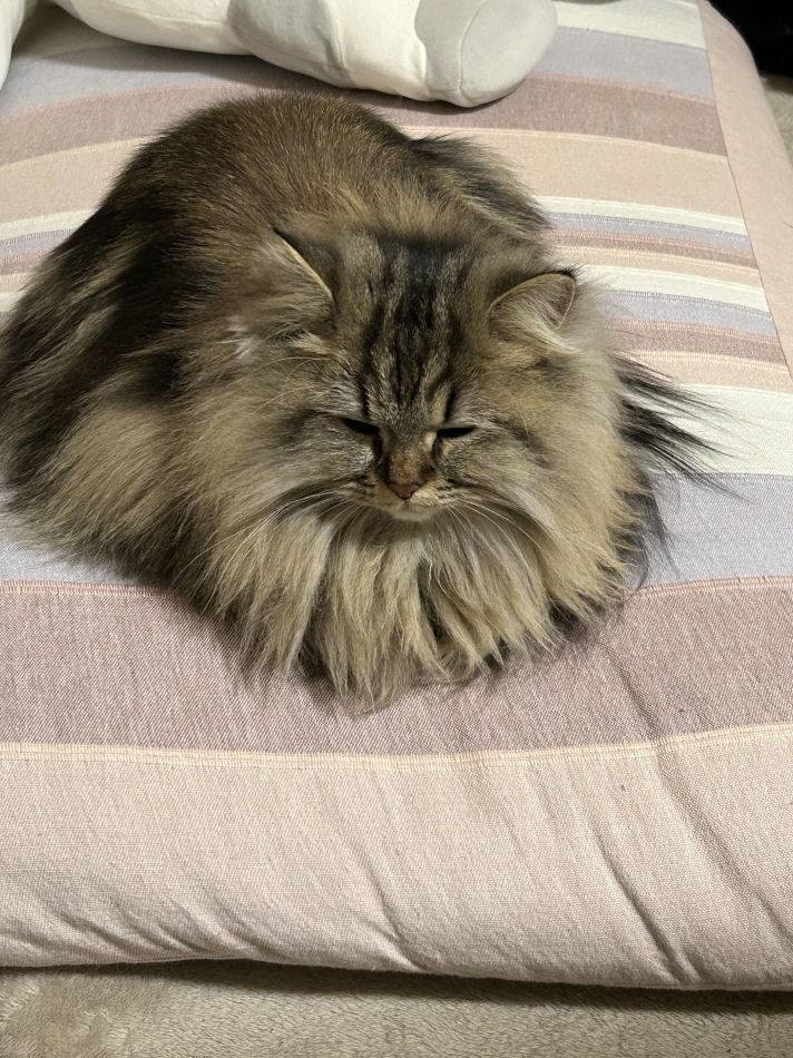 1月8日 21時04分のブログ