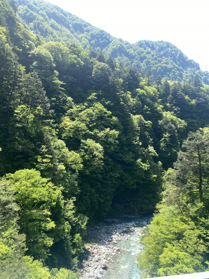 JEUNESSE日記1652535