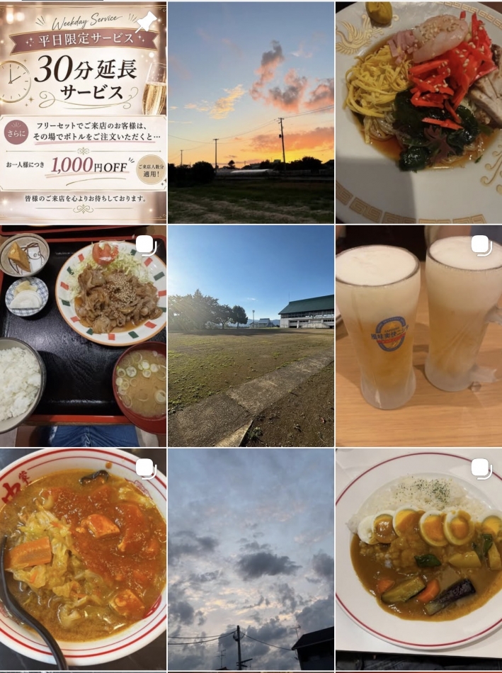 一条 葵
