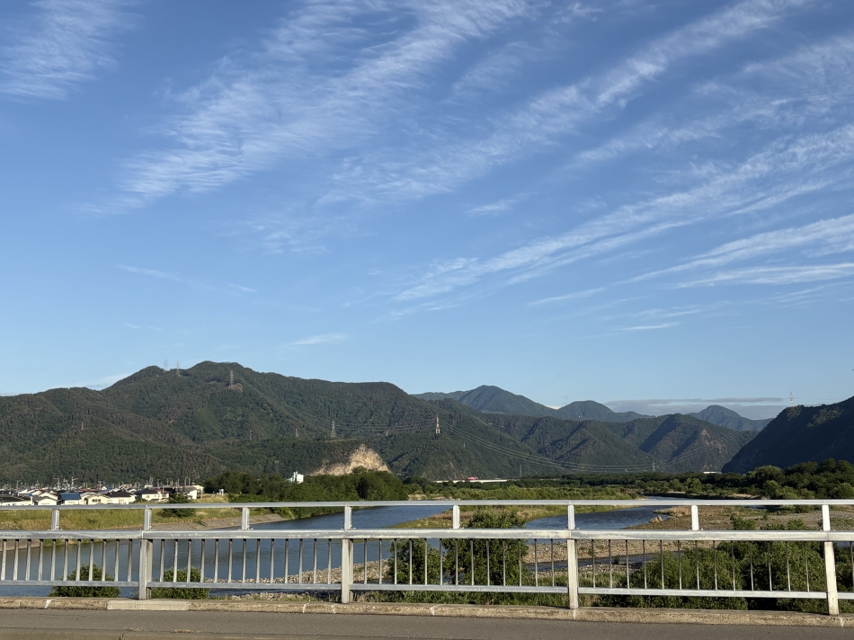 一条 葵