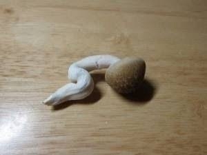 ❤️‍🔥❤&=?ISO-2022-JP?B?I3hGRTBGOyYjeDIwMEQ7JiN4MUY1MjU7JiN4Mjc2NDsmI3hGRTBGOyYj? = x200D;🔥 復活 ❤️‍🔥❤️‍🔥❤️‍🔥