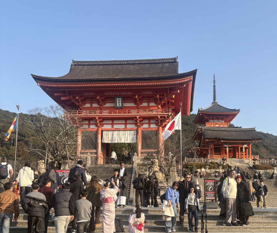 ダフネ日記1587987