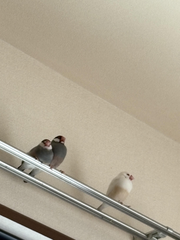 クラブ プラチナ 諏訪日記1724635