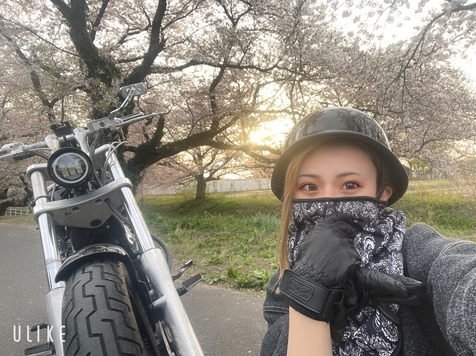 素晴らしい🌸✨️