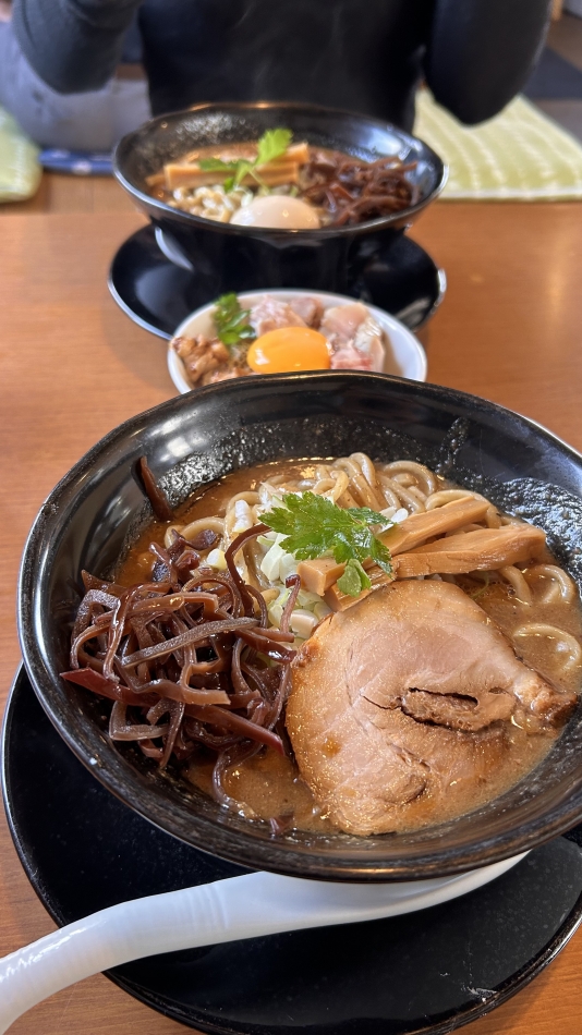 一条 葵