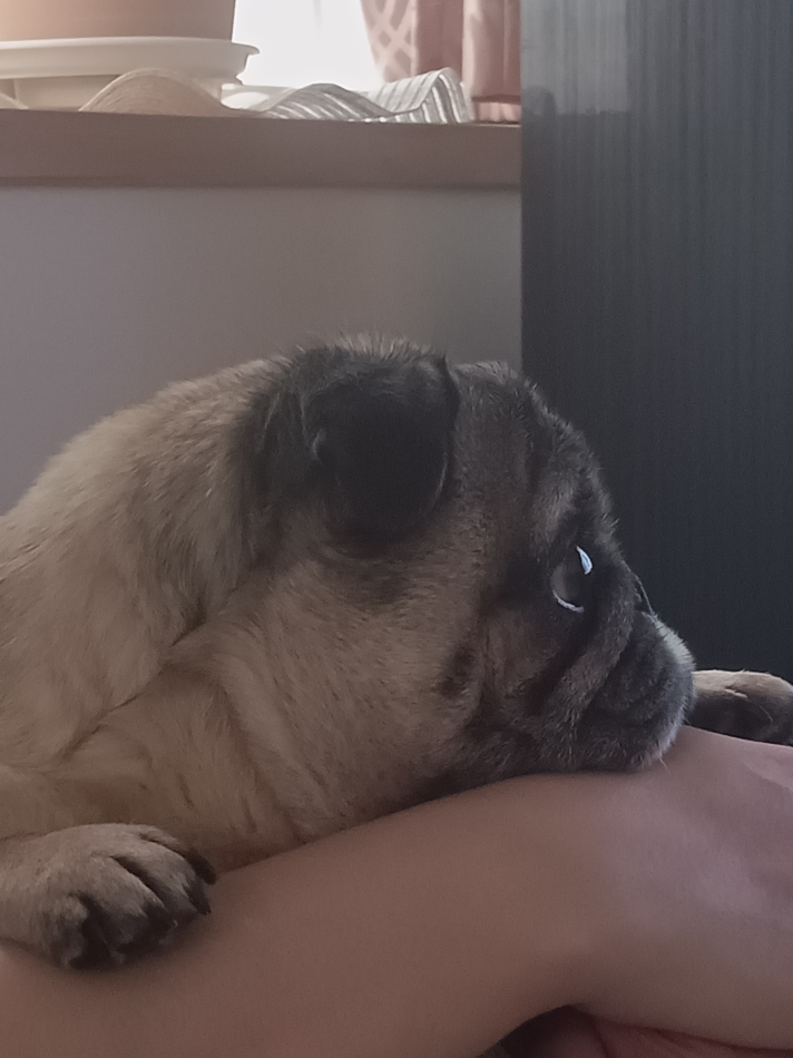 産まれる時の話