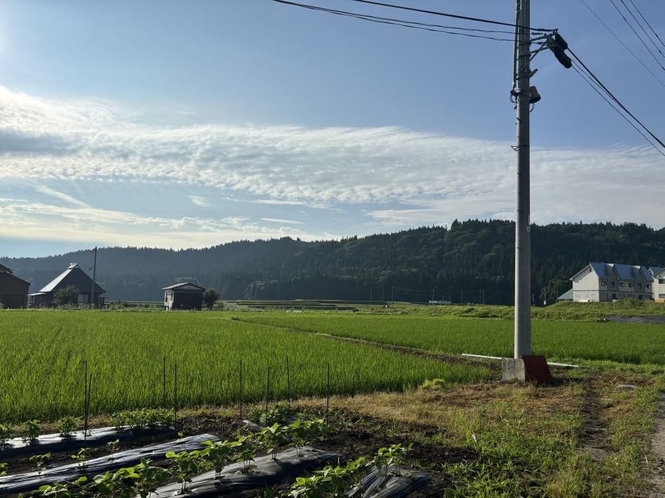 のどかだなぁ～