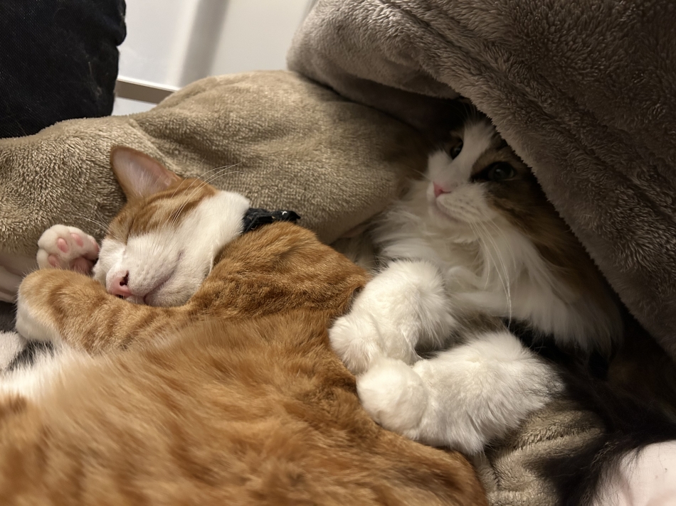 (ママ) 二ノ宮 さつき